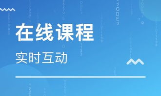 思鴻集團(tuán) 深耕職業(yè)教育市場(chǎng)，打造在線職業(yè)教育培訓(xùn)專業(yè)平臺(tái)與軟件開發(fā)